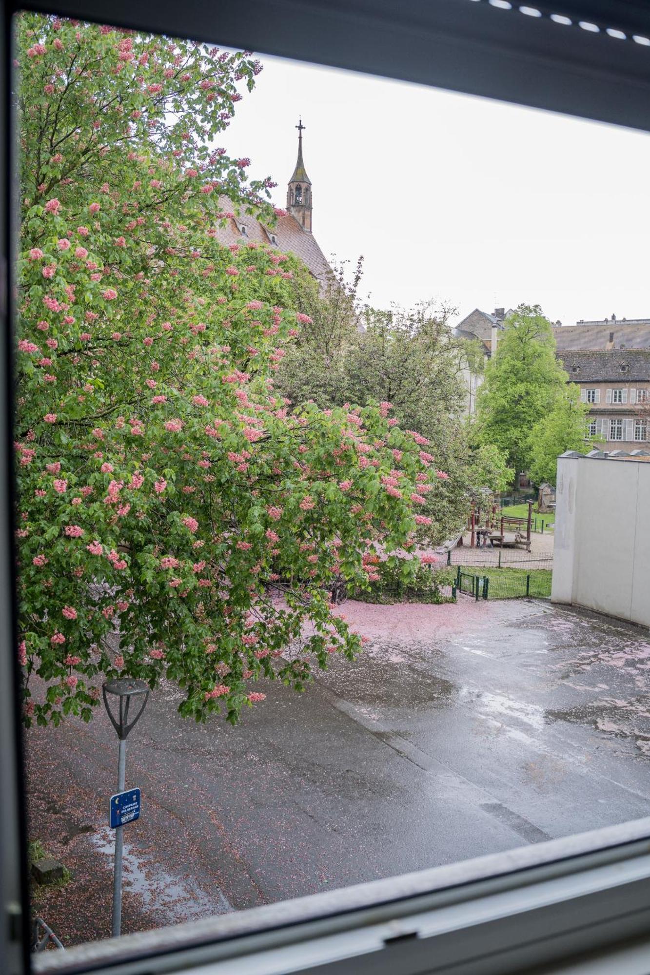 Le Gabriel Lejlighed Strasbourg Eksteriør billede